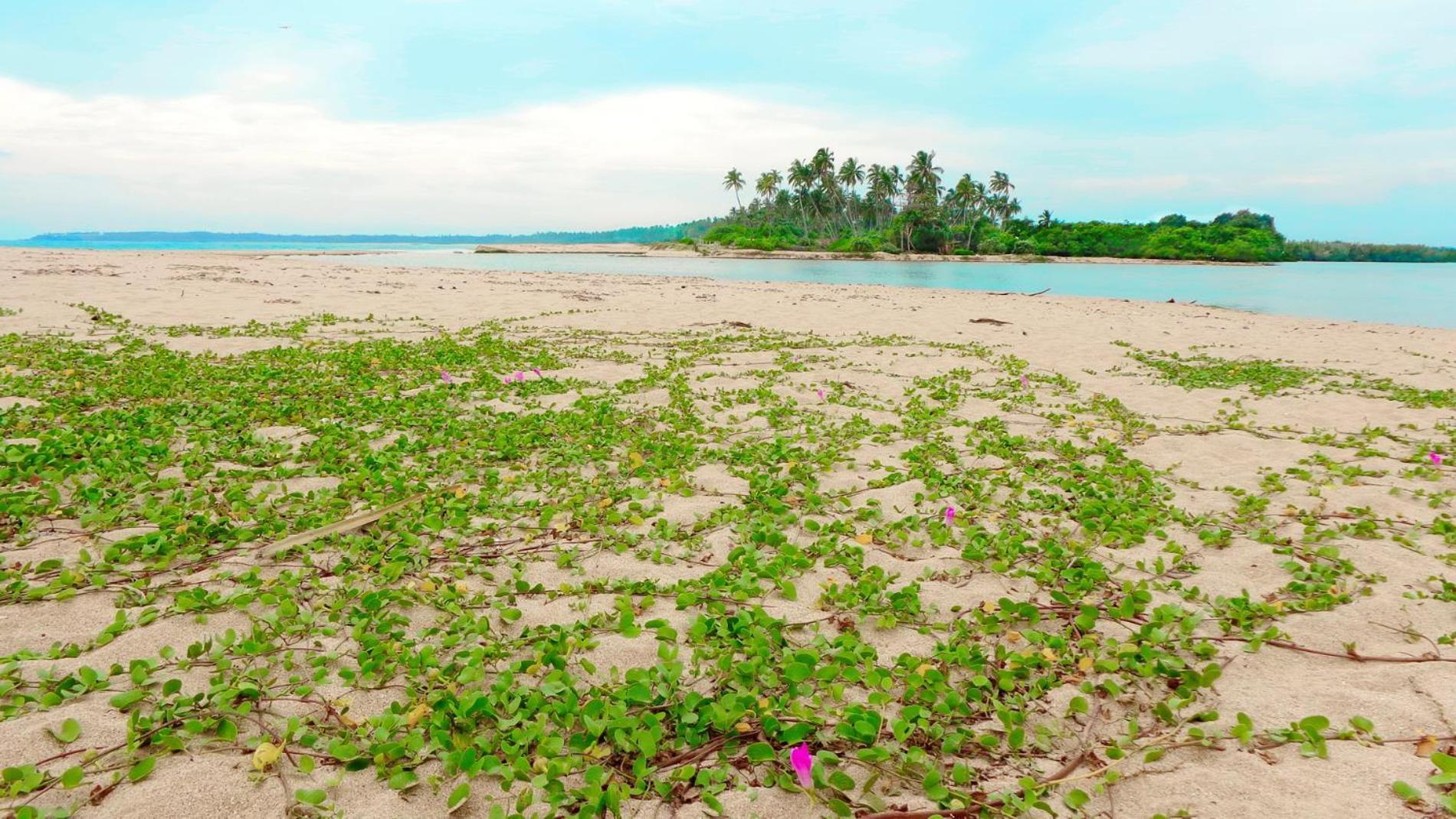 Villa Modara แทนกาลเล ภายนอก รูปภาพ